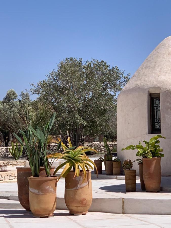 Les Jardins De Villa Maroc Szavíra Kültér fotó