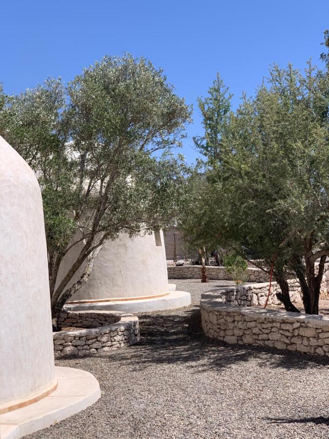 Les Jardins De Villa Maroc Szavíra Kültér fotó